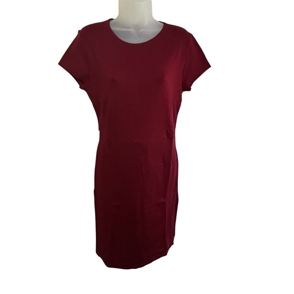 NWT Carmen Marc Valvo Dress Cranberry Short Sleeve Knee Length Sz Small & Large